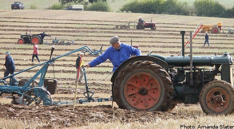 World's farmers draw blades for Swedish ploughing showdown