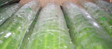 Coop pulls cucumbers over E. coli fears