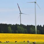 Renewables unlikely to fill nuclear gap without bold policy changes