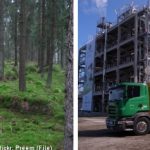 Swedish forests spawn new ‘green’ diesel