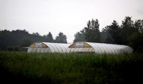 Farm behind E. coli not likely to face prosecution