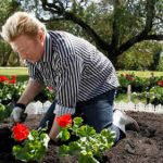 Becker’s holiday home confiscated by court over gardening bill