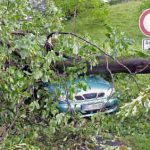 Two killed as storm front batters Germany