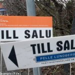 Swedish house prices ‘dangerously high’: report