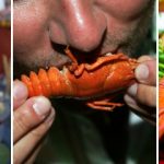 Crayfish: the messiest party of the year
