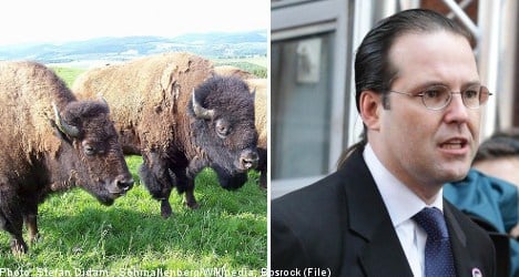 Markets hit by ‘buffalo herd’ mentality: Borg