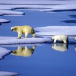 Less Arctic ice than ever