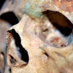 Namibia reclaims stolen human skulls