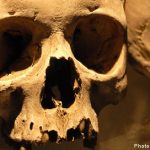 Australia demands return of aboriginal skulls