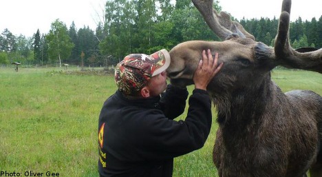 ‘Leffe the moose man’ promises elk intimacy