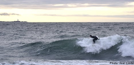 Swedish surfers defy cold to catch winter waves