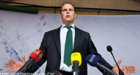 Euro crisis a threat to Swedish banks: Borg