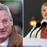 Bildt in bid to free Tymoshenko