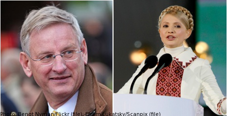 Bildt in bid to free Tymoshenko