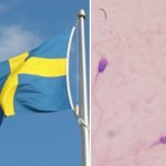 Swedish sperm donors ‘well-adjusted’: study
