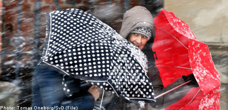 New storm warnings for wind-whipped Sweden