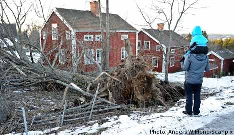 Storm Dagmar leaves 'chaos' in its wake
