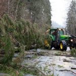 Germany ravaged by New Year’s storms