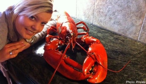 Swedish teen shells out for giant lobster