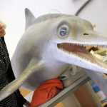 Scientists discover new marine dinosaur
