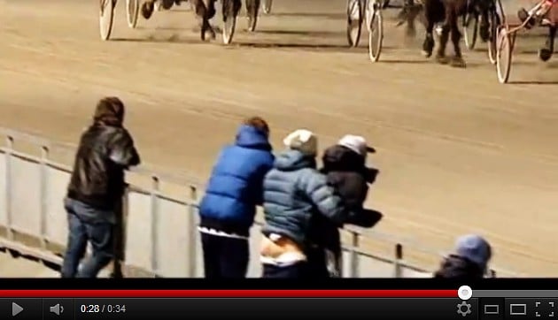 ‘Stallion’ caught with pants down at Norway racetrack