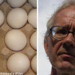 Lars Vilks egged at ‘Muhammad’ lecture