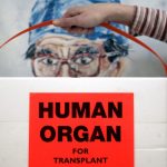 Germans will all face organ donor question