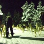 ‘Racism’ ruins Iranians’ Sweden dog sled jaunt
