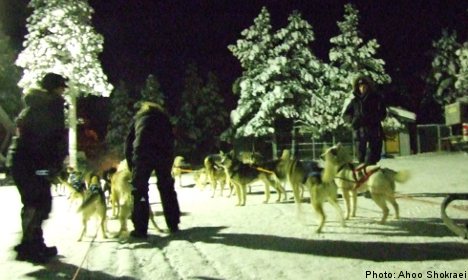 'Racism' ruins Iranians' Sweden dog sled jaunt