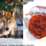 Poison sausage plot targets Sweden’s wolves