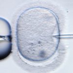 Doctors must pay for ‘stolen sperm’ babies