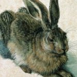 Dürer’s Easter favourite – hare to stay
