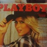 Playboy mags, seals and drivers ‘stuck’ in traffic