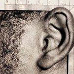 Police catch serial burglar – by his earprints