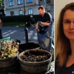 Volunteering for English speakers hits Sweden
