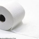 Sweden in narrow escape from loo roll shortage