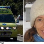 ‘Unlike Sweden, when you call an ambulance in the US, it comes’