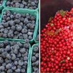 New ‘blingon’ berry found in Sweden
