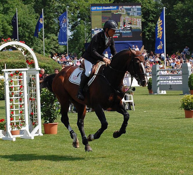Equestrian Jumping<br>Hård: “He (Rolf-Göran Bengtsson) has a great opportunity, but his chances are dependent on whether the horse (Casall La Silla) will have a good day as well."Photo: Photo: Nordlicht/Wikipedia (file)