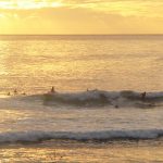 Shark kills surfer on Indian Ocean island
