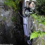Man survives after car plunges into ravine
