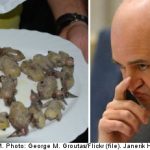 Swedish PM told: don’t munch birds in Cyprus