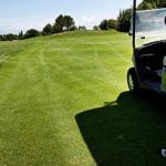 Swede charged after drunken golf cart drive