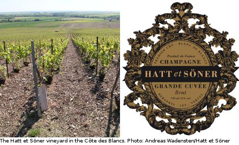 French vineyard uncorks ‘Swedish’ champagne