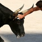 ‘Bullfighting is a culture we must preserve’: Valls