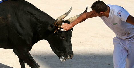'Bullfighting is a culture we must preserve': Valls