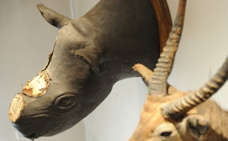 Brits jailed for stealing museum rhino horns