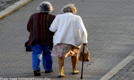 Two 'portly' old ladies tackle would-be thief