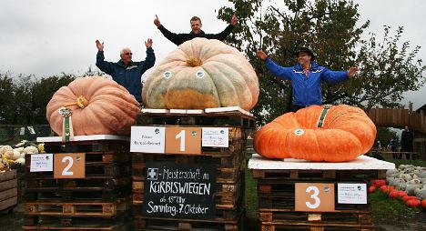 Winning Swiss pumpkin outweighs Smart car