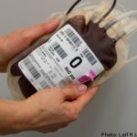 Court stifles hunt for donors with ‘risky’ blood